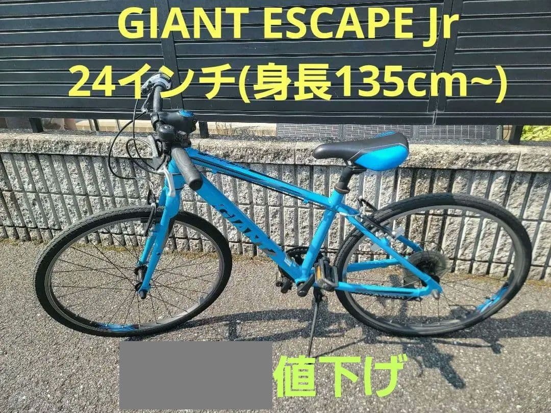 GIANT ESCAPE JR ジュニア用クロスバイク 24インチ Escape Jr 24 (2022) | City & Hybrid bike | Giant Bicycles Japan 日本