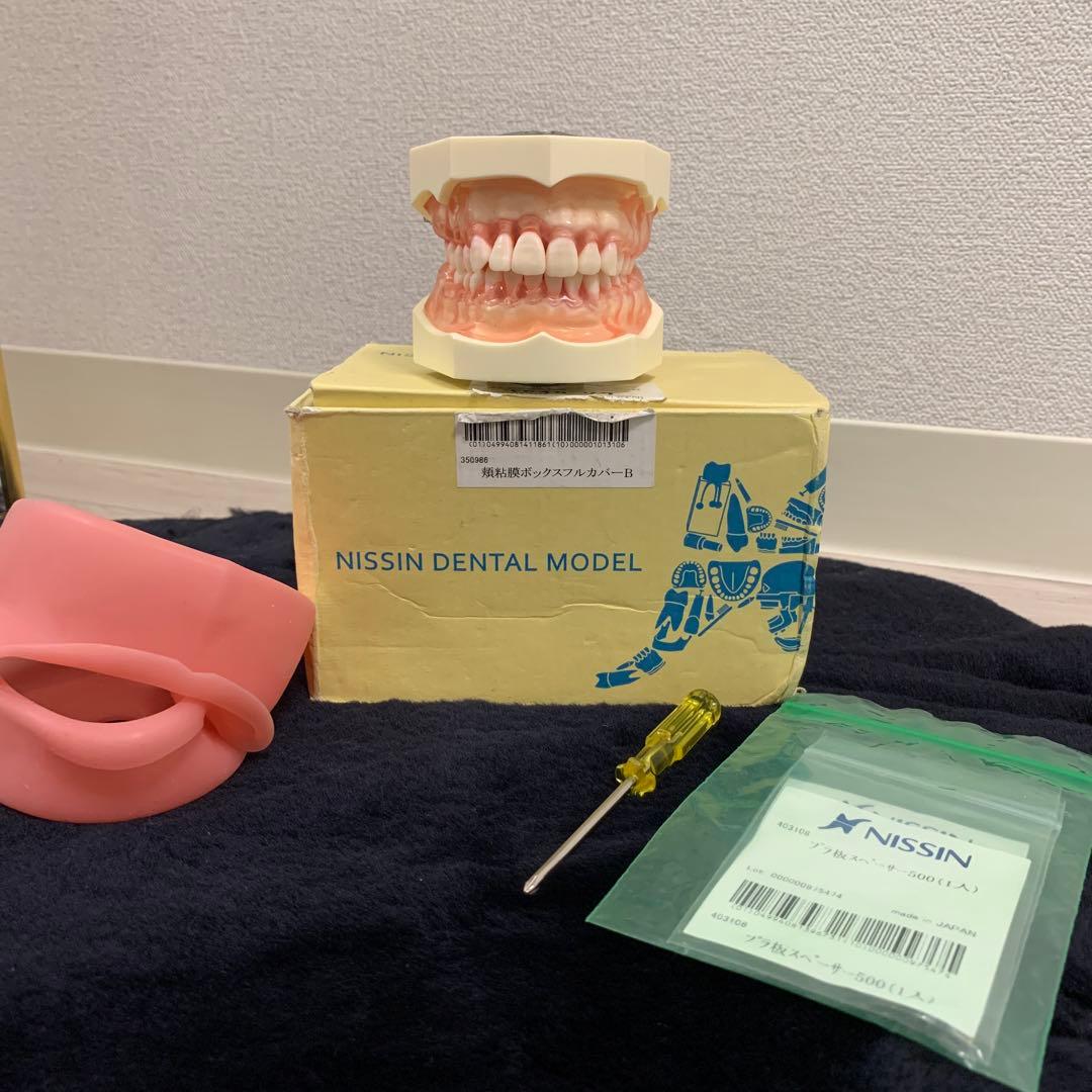 NISSIN】 顎模型 頬粘膜ボックス プラ板スペーサー 歯科衛生士 歯科