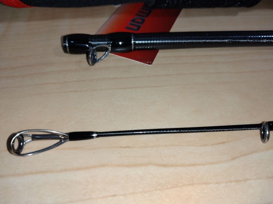 フィッシュマン ブリスト ベンダバール 10.1M FBR-101M