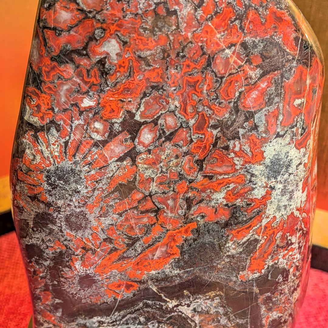 菊花石 岐阜県根尾谷産1.1㌔ 鑑賞石 観賞石 水石 盆石 天然石 置物