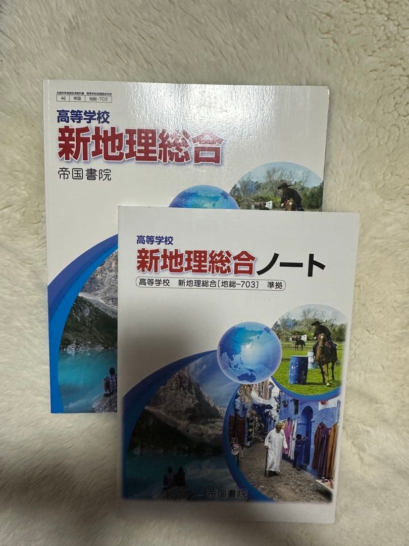 帝国書院 新地理総合 教科書＋準拠ノート 2冊セット 高校 地理 - メルカリ