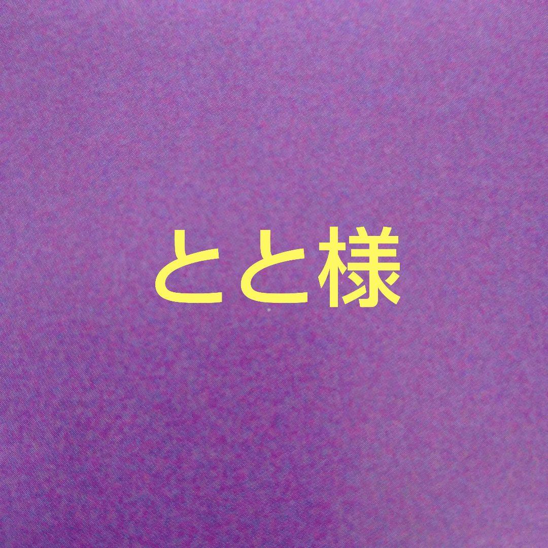 ととページ TSG-XXX/XF2 お取り寄せ 捨貼用 特殊シートフロア 永大産業製A品フロア
