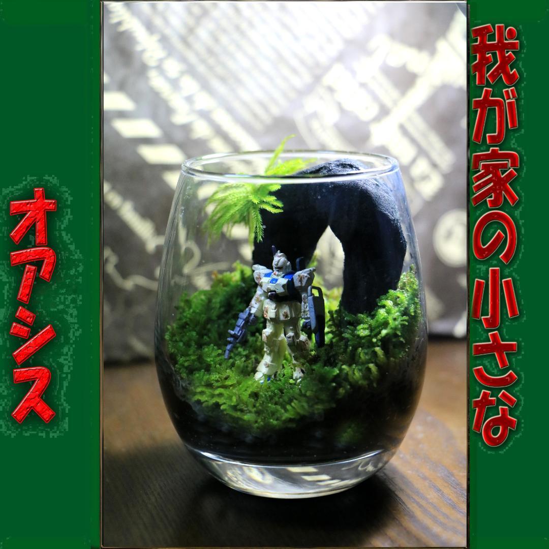 苔テラリウム コケリウム ロボット ガンダム 心癒す我が家のオアシス D