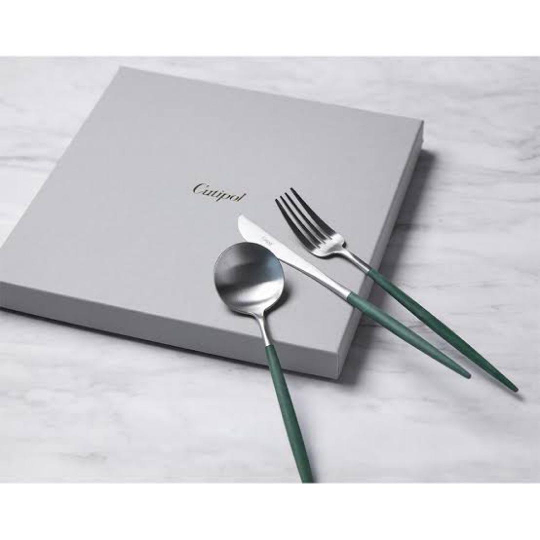 未使用CutipolクチポールGOAゴア高島屋限定色ディナーフォーク