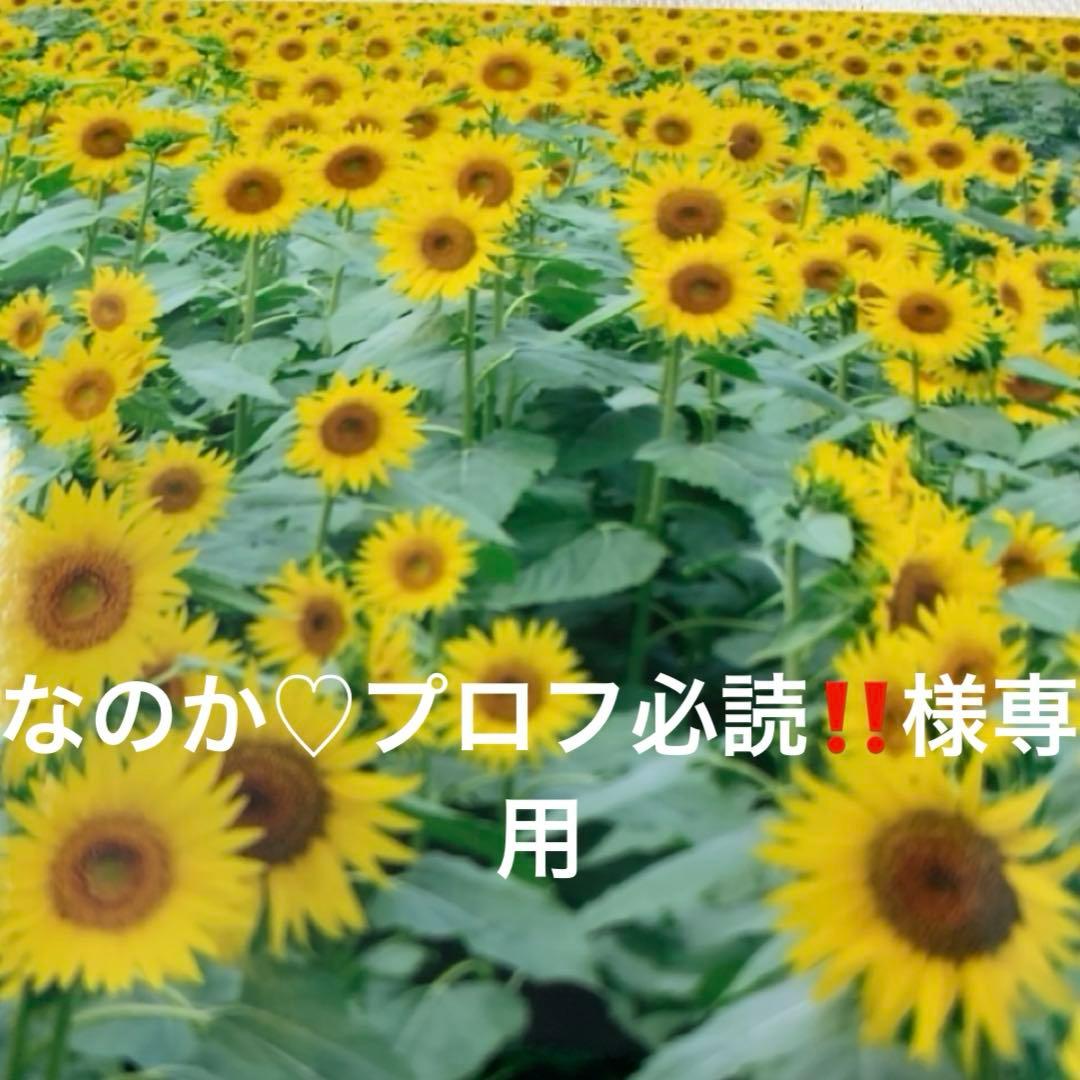 なのか♡プロフ必読‼️様専用 - メルカリ