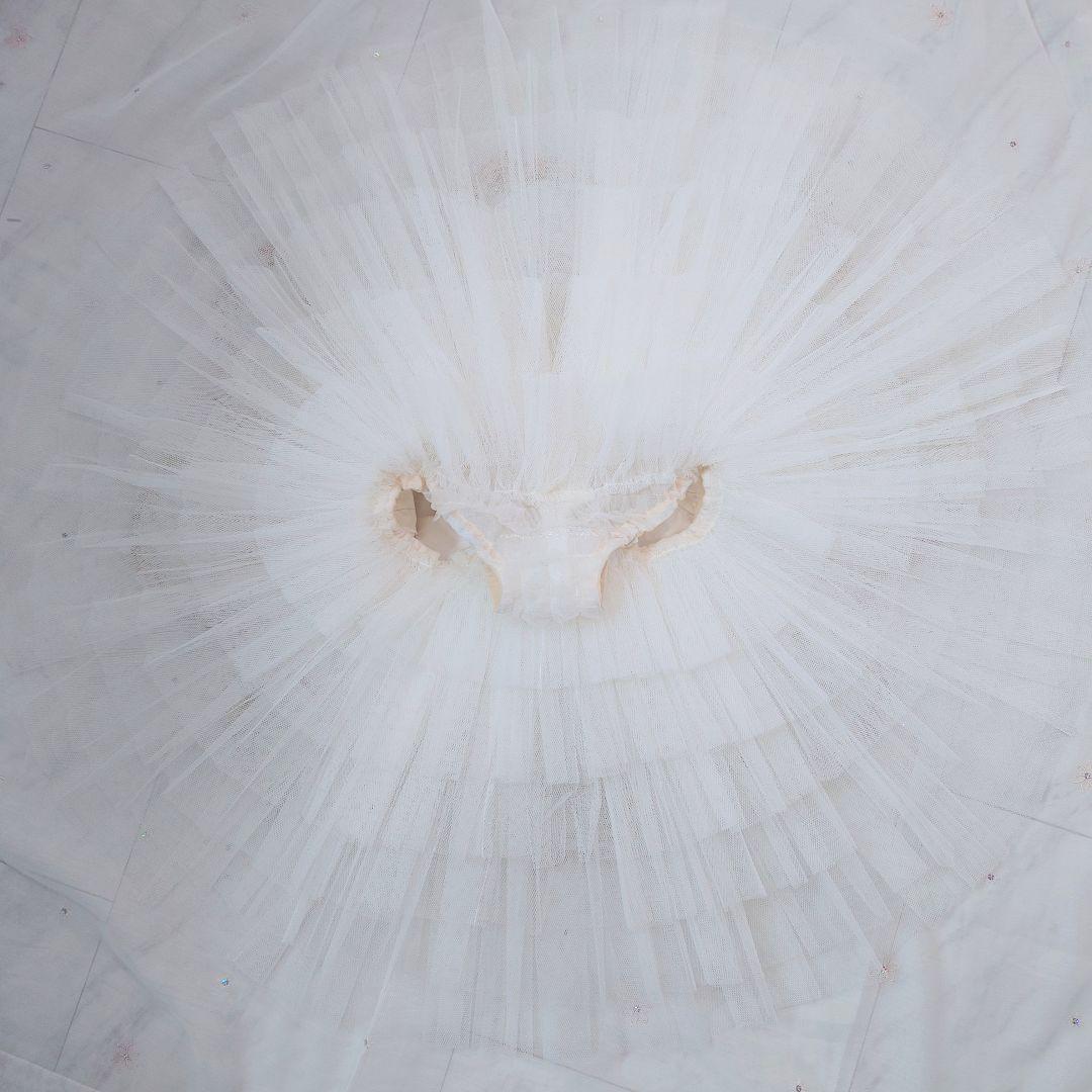 オーロラ姫、ライモンダ、森の女王】 チャコットバレエ衣裳 美品・新品