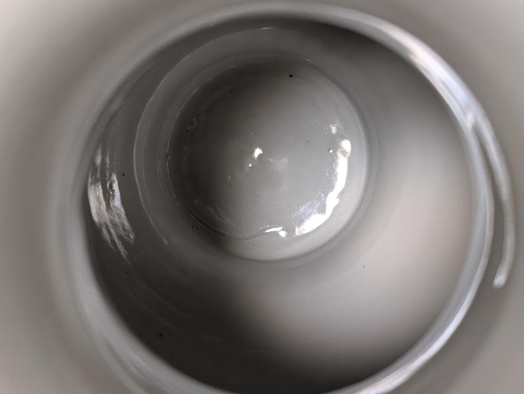 古美術 アンティーク 盤口瓶 双耳広口瓶 穿雲龍紋様 明治 九谷 谷口製