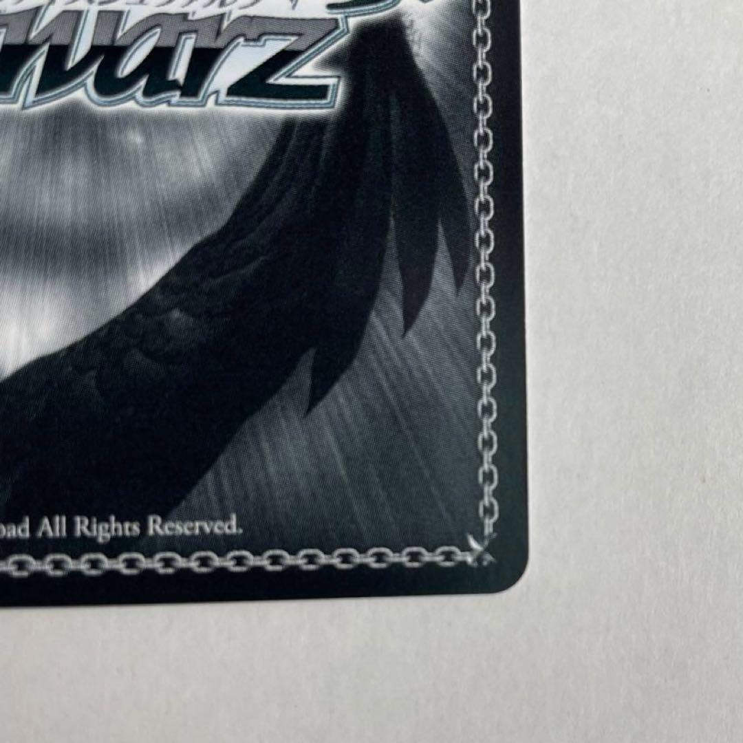 ヴァイスシュヴァルツ　彼女、お借りします　人見知りの”彼女”　墨　SS