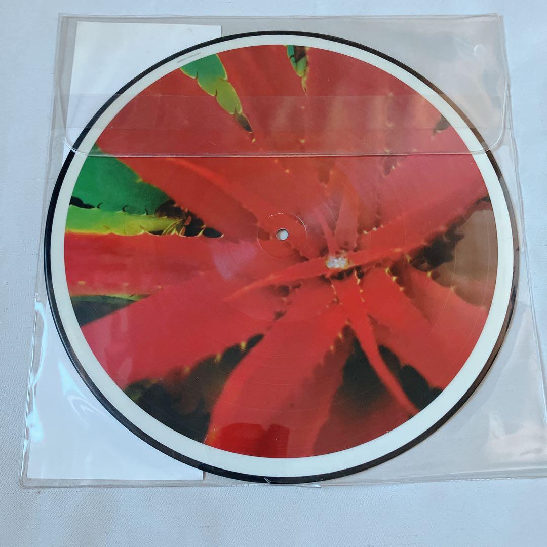 Jejune – This Afternoons Malady LP - メルカリ