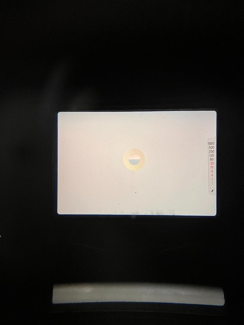 美品 NIKON FG シルバー フィルムカメラ モルト新品交換済 B822 - メルカリ