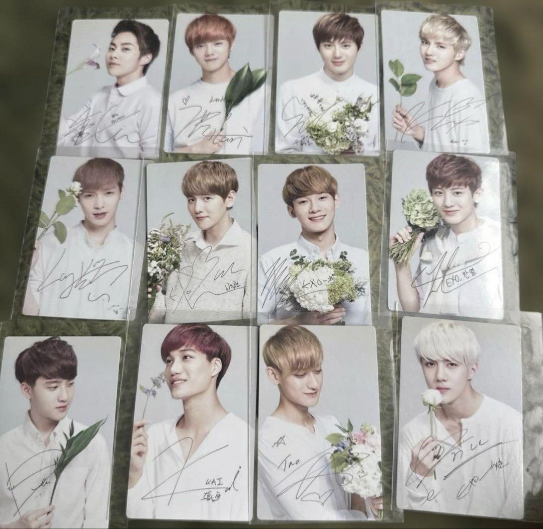 EXO NATURE REPUBLIC トレカ12枚セット プラス1枚 - メルカリ