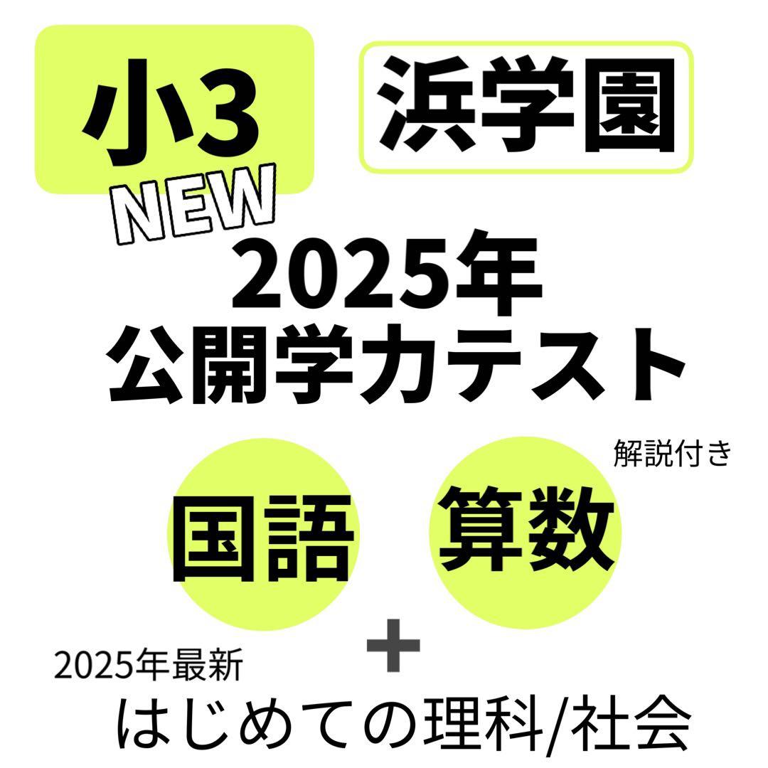 浜学園 公開学力テスト 小3 国語 算数 理科 社会 2025年 最新 即発送