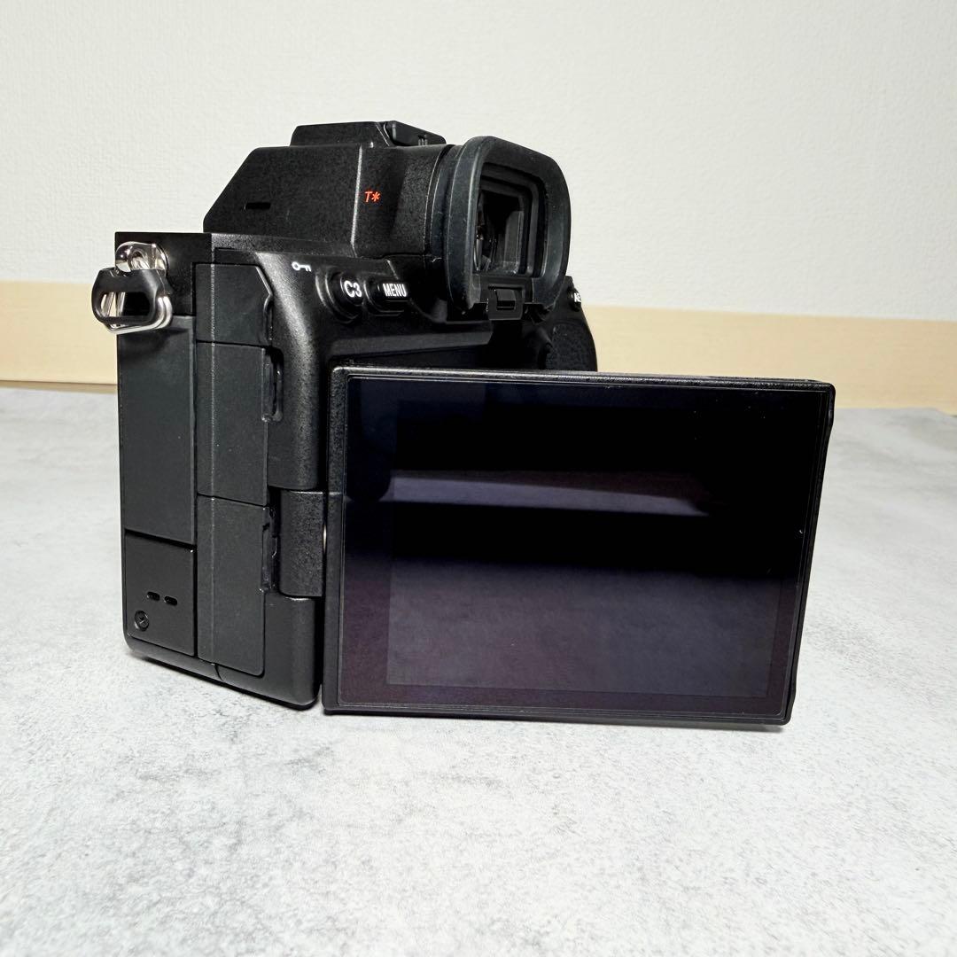 美品】SONY α7S III ILCE-7SM3 シャッター回数744 - メルカリ