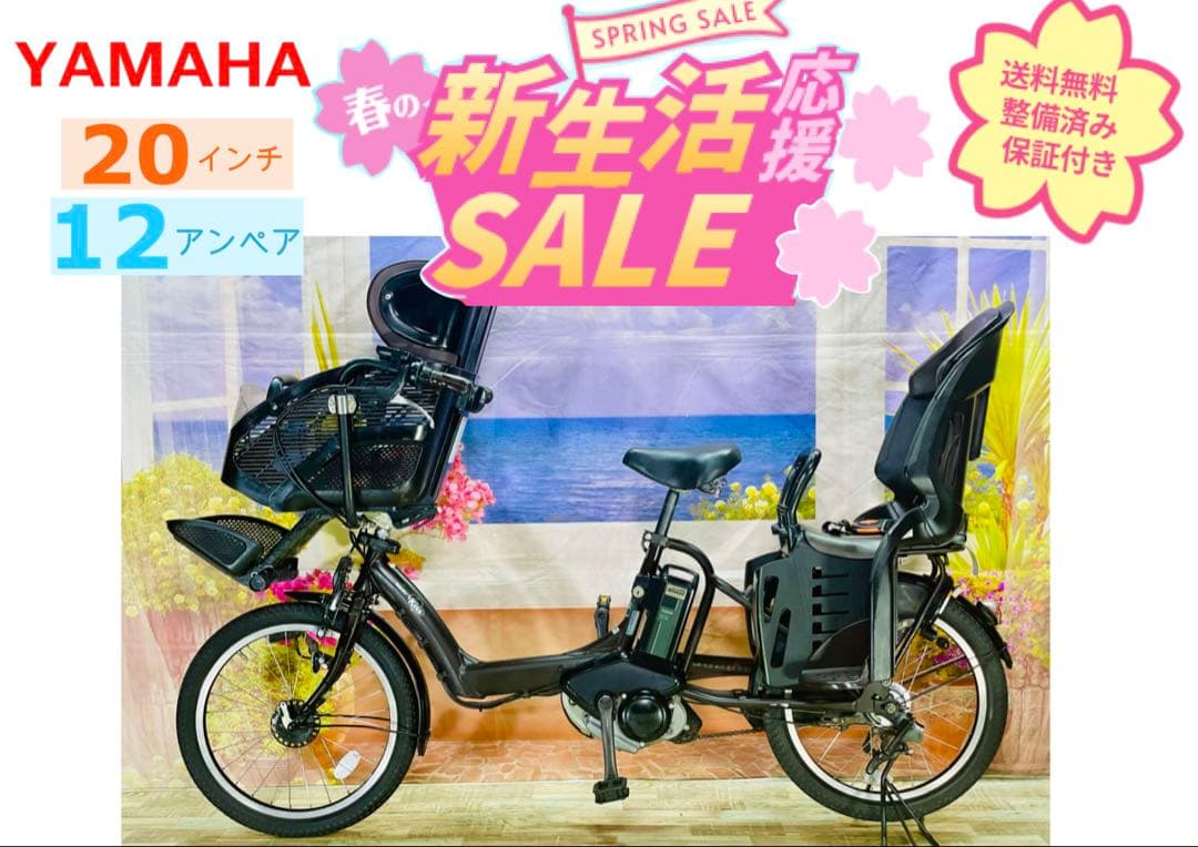 限定価格】パスキス12AH⭐️人気モデル！ヤマハ子供乗せ電動 Y2789