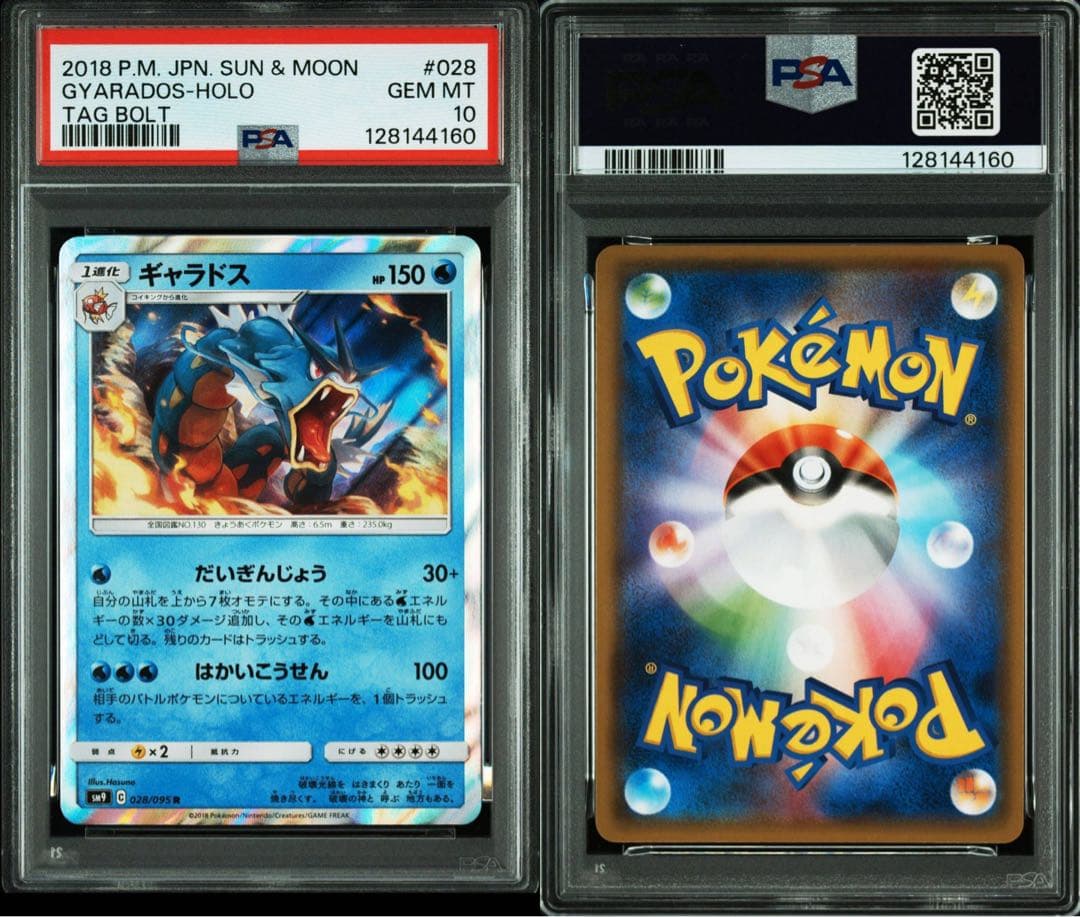 PSA10 ギャラドスR 028/095 タッグボルト - メルカリ