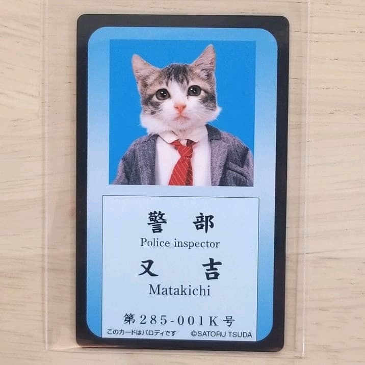 なめ猫 免許証 又吉 警部 〈新品〉 なめ猫カード 可愛い猫 写真 みけ子
