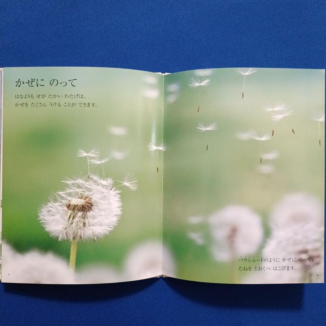 ビッグサイエンス キンダーブックしぜん ちいさなかがくのとも 春の花