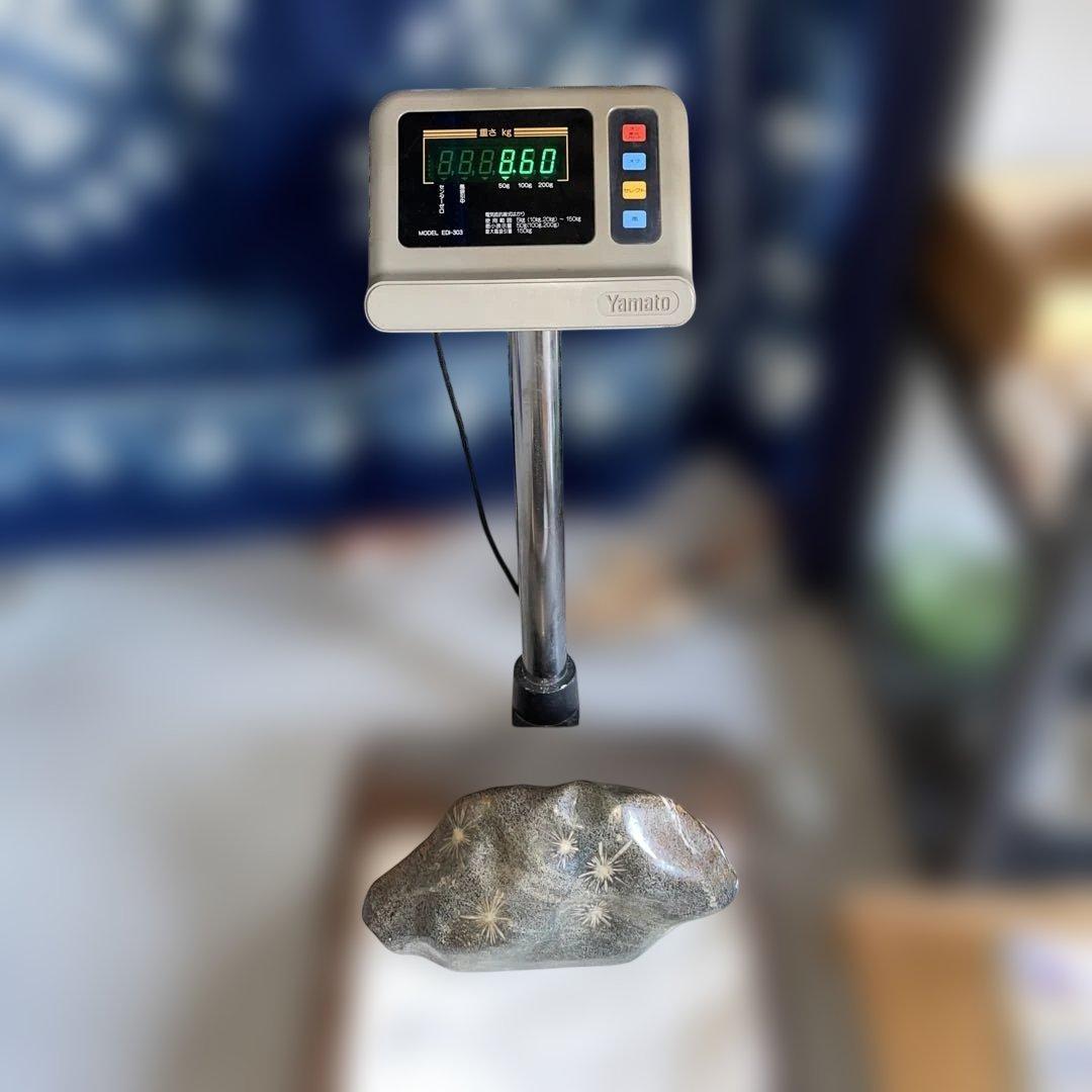 菊花石 8.6kg 鑑賞石 鉱物