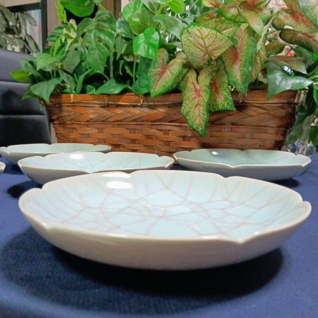 未使用品 たち吉 青磁 紅貫入 和食器 中皿 5枚セット 直径16.5センチ