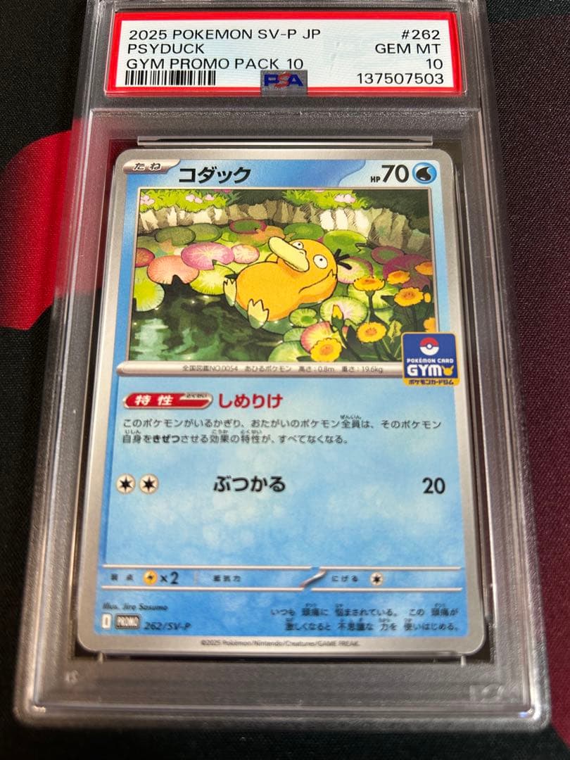 ポケモンカード コダック ジムプロモ psa10 ② - メルカリ