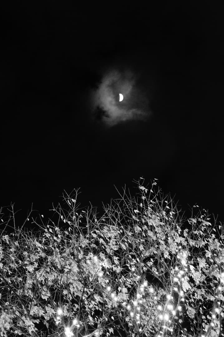 超美品】SONY NEX-3 ズームレンズ MFレンズキット ブラック