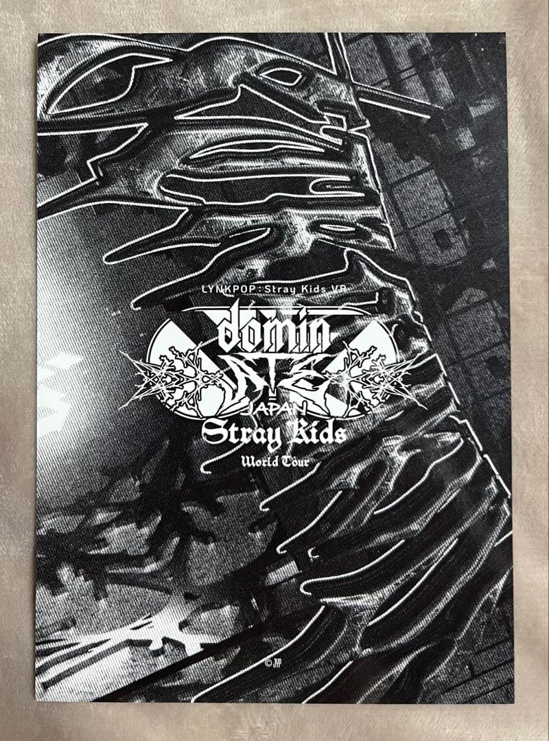 Stray Kids VR リノ 限定 ラントレ 公式 スキズ - メルカリ