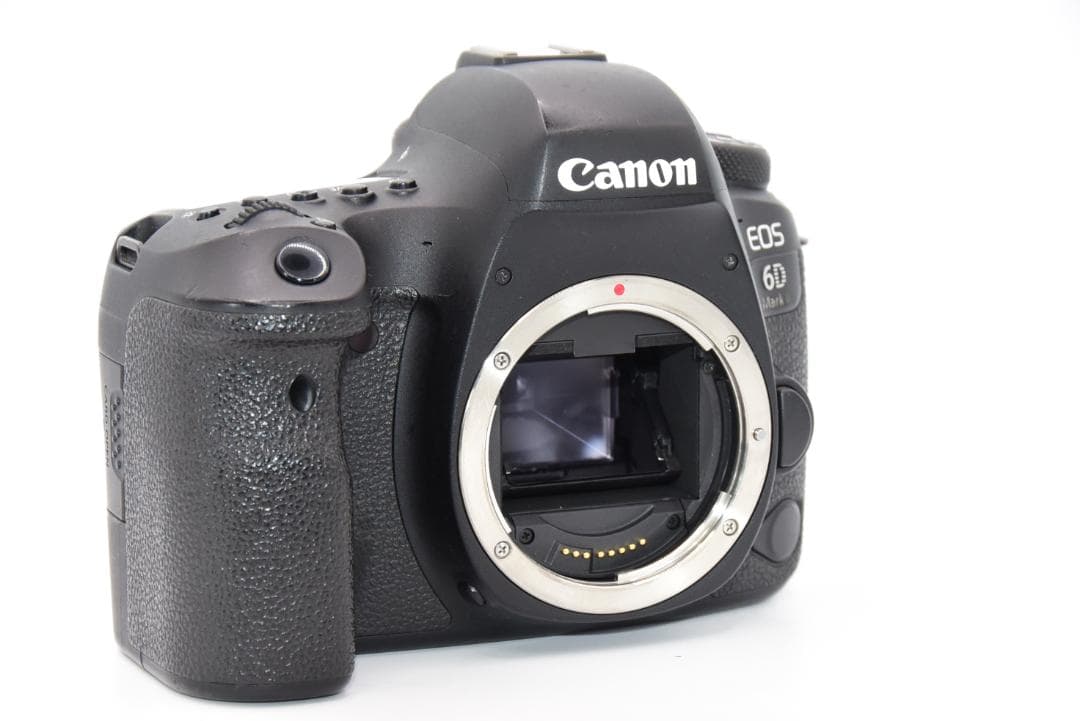 ■ 美品 ■ Canon EOS 6D Mark II ボディ《動作OK》
