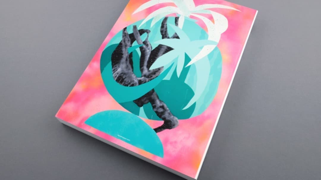 古本 2000部限定 Le petit voyeur #6 カルチャーマガジン