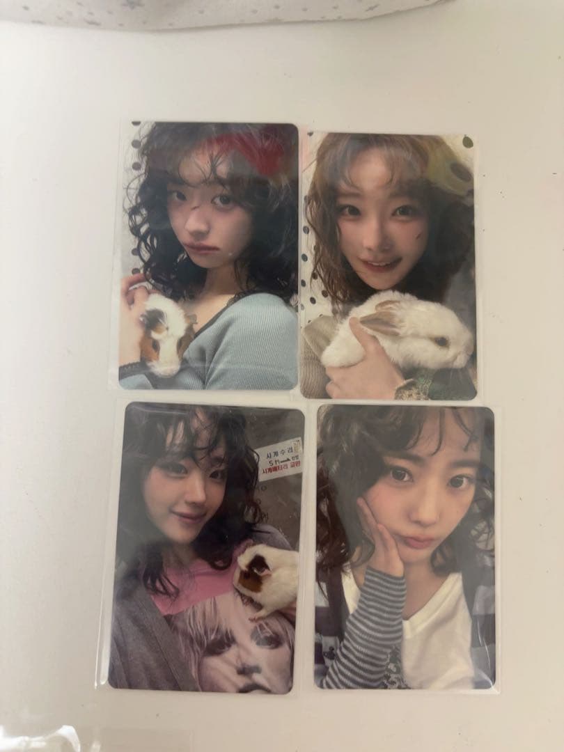 24時間以内配送 QWER チョダン マゼンタ ヒナ シヨン トレカ 4枚セット