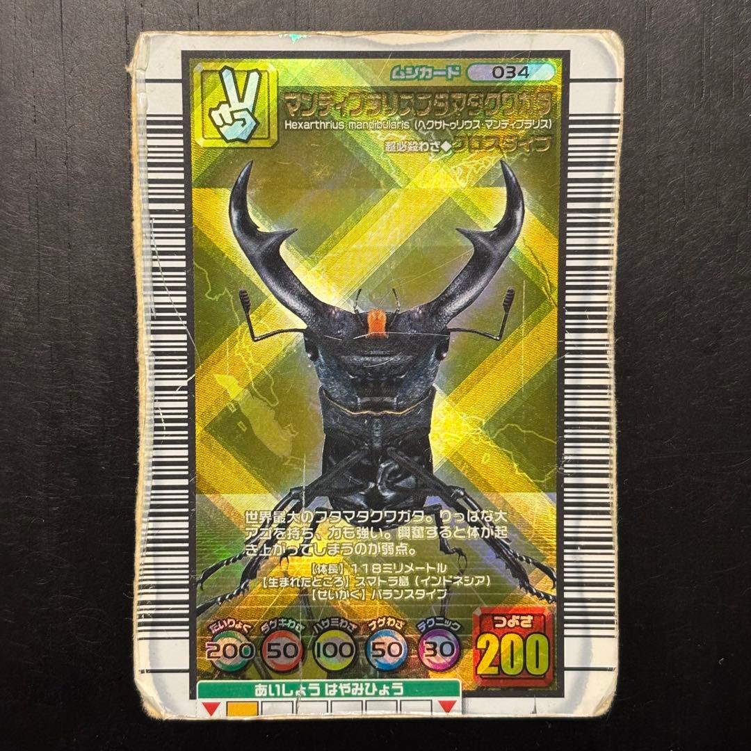 金レア】昆虫王者ムシキング ヘラクレス・ギラファ・マンディ