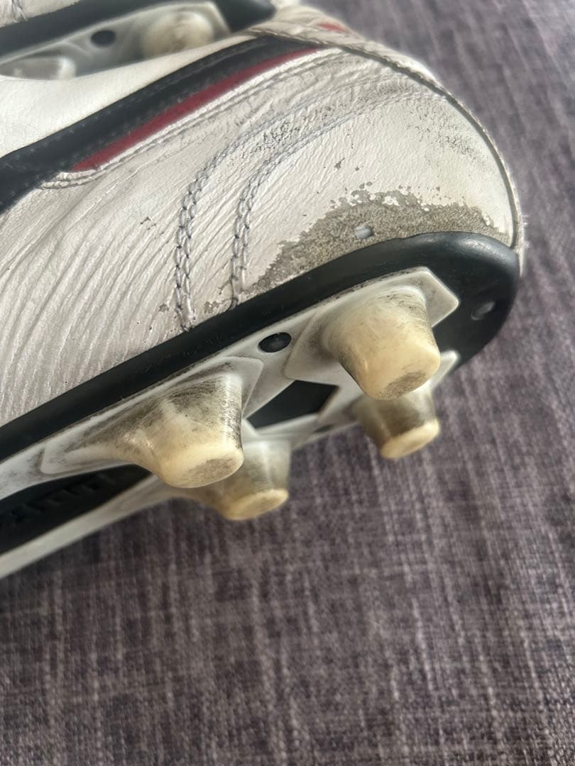 28.5cm モレリア2