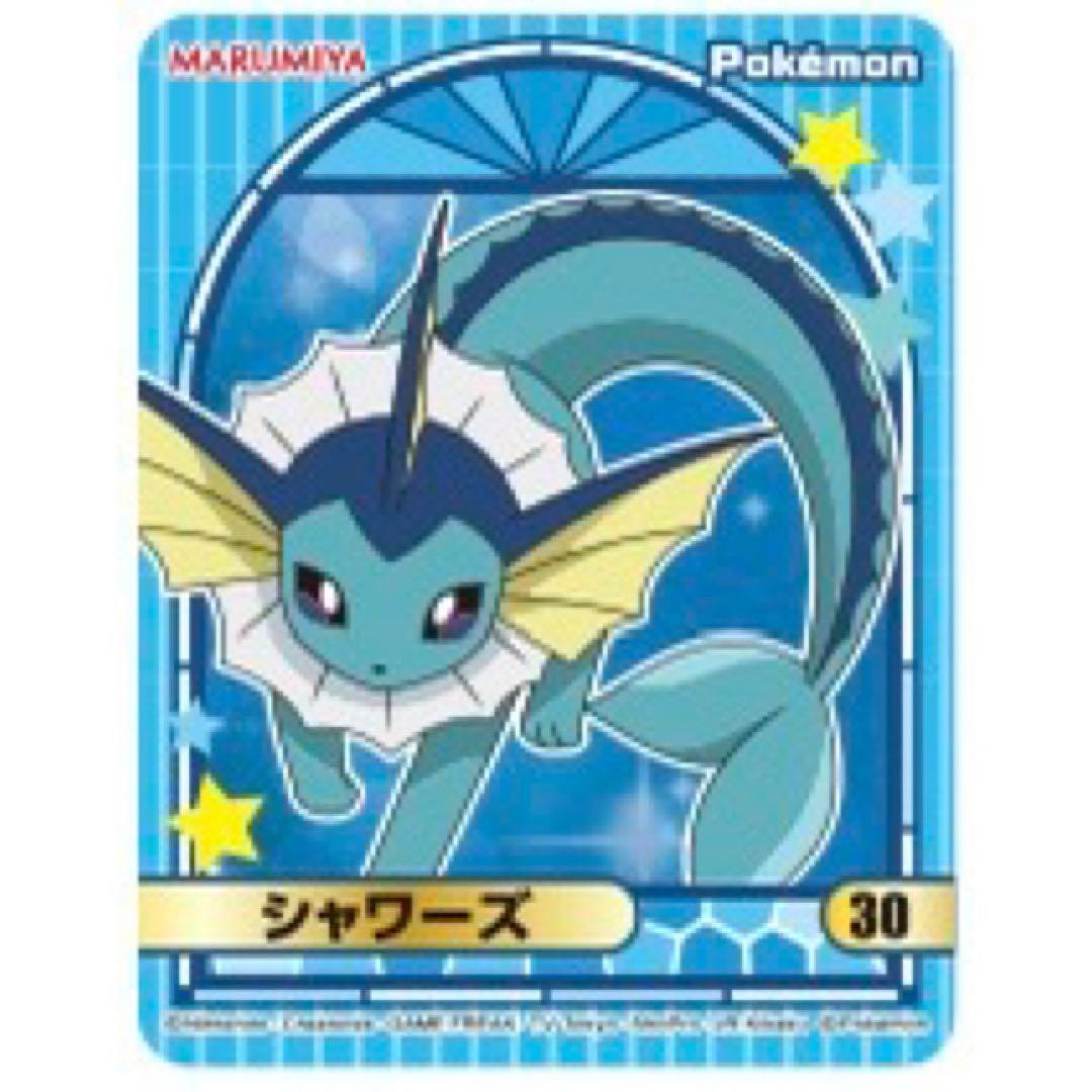 新品☆ポケットモンスター【シャワーズ】丸美屋☆ポケモンカレー