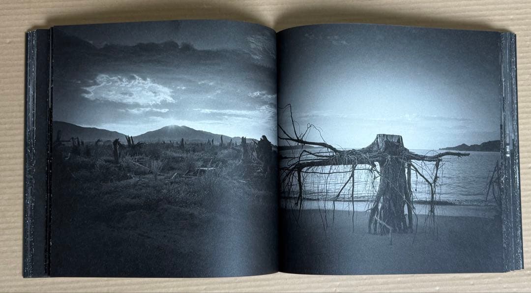 限定300部 ◉プリント付き！ ◉ 小林透「nature morte 」