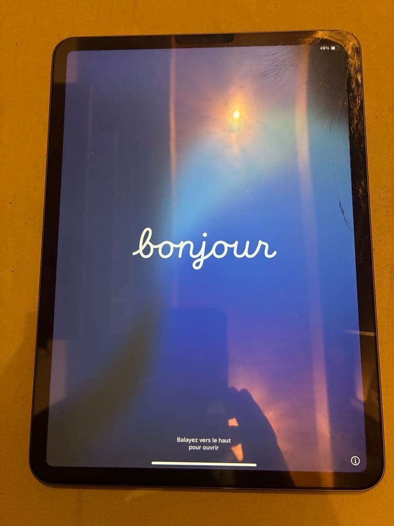 ジャンク品 iPad Pro 11 Wi-Fi 外箱・付属品付 MTXN2J/A - メルカリ