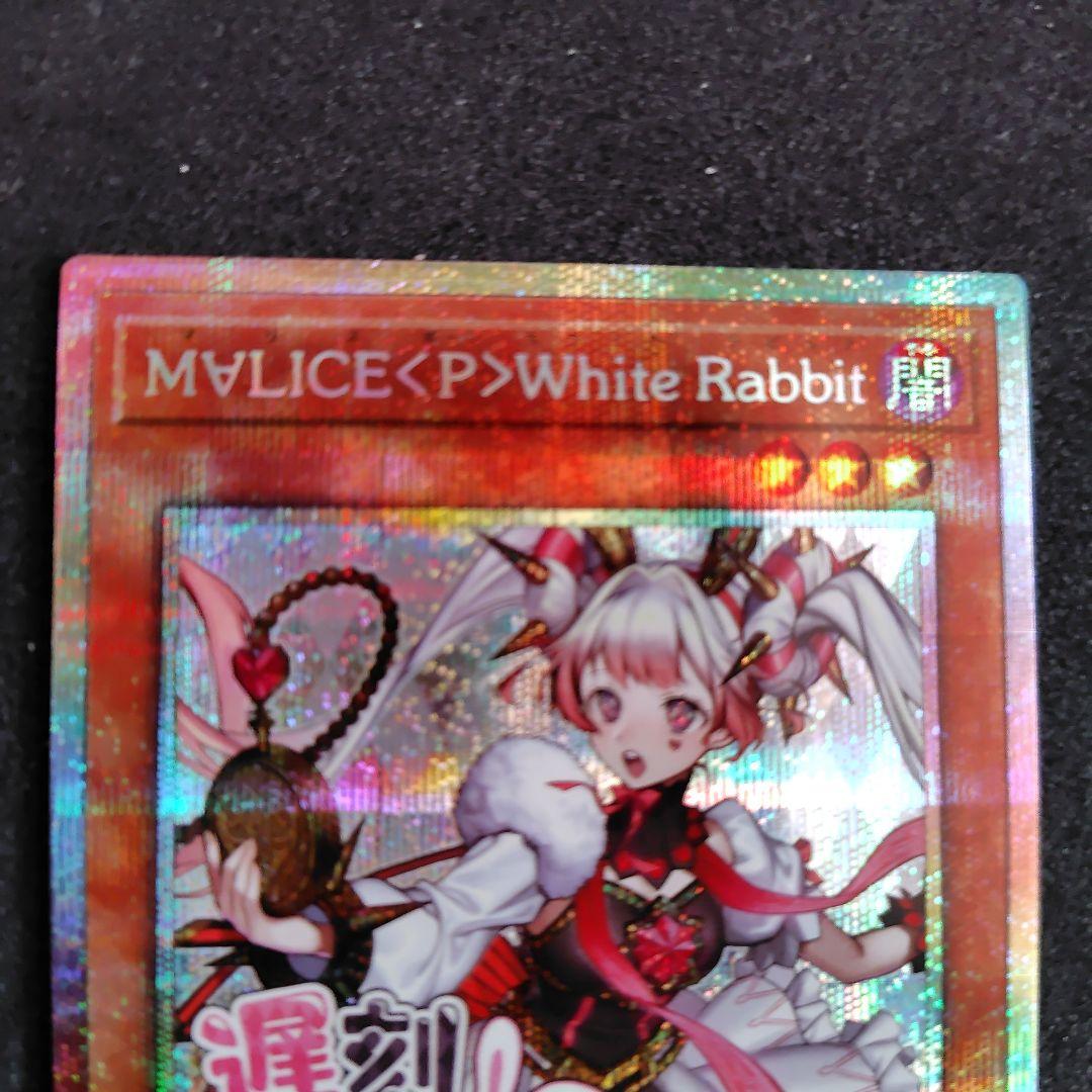 遊戯王　M∀LICE <P>White Rabbit ホワイトラビットプリシク③ Amazon.co.jp: 遊戯王カード DBCB-JP015 M∀LICE＜P＞White Rabbit