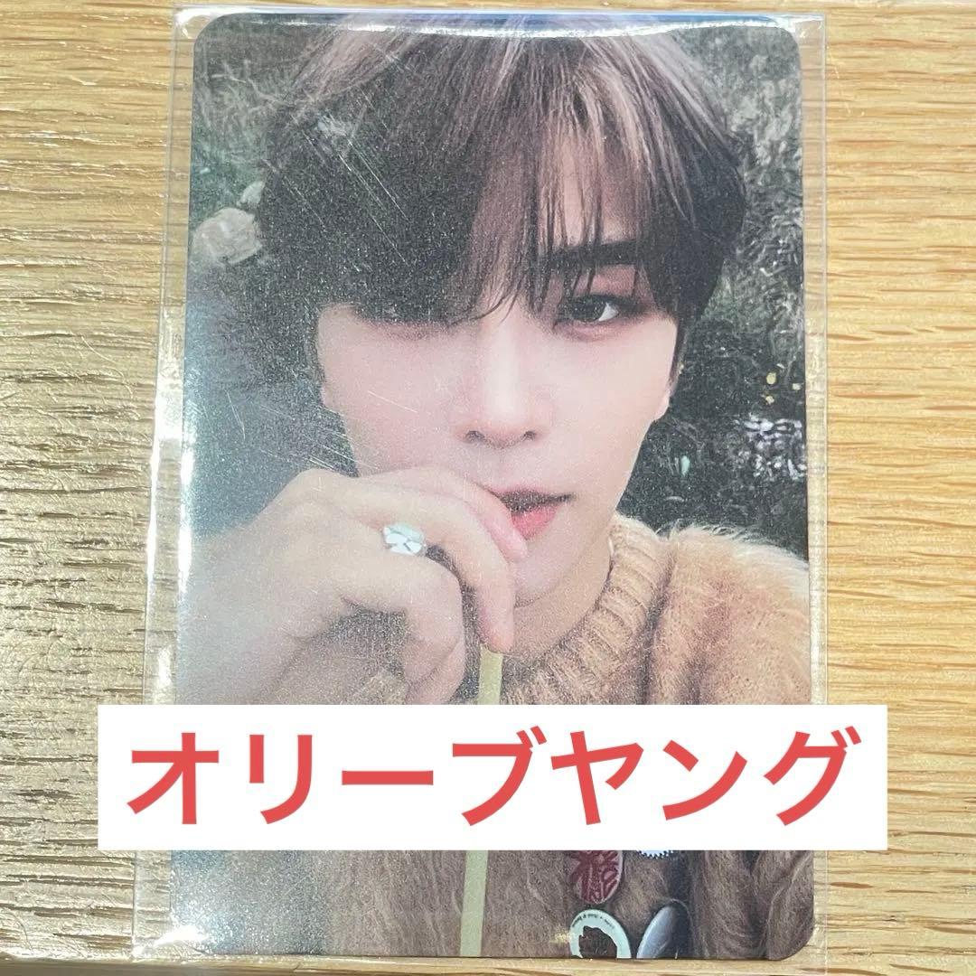 シンロン ALD1 オリーブヤング ラキドロ EUPHORIA トレカ オリヤン