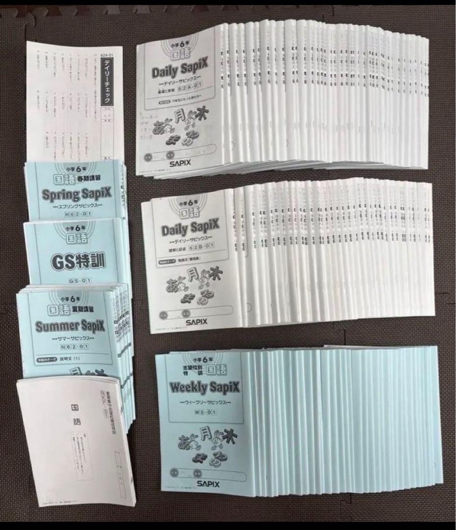 サピックス SAPIX 6年 国語 1年分 テキスト チェックテスト フルセット サピックス SAPIX 6年 国語 1年分 テキスト チェックテスト フルセット
