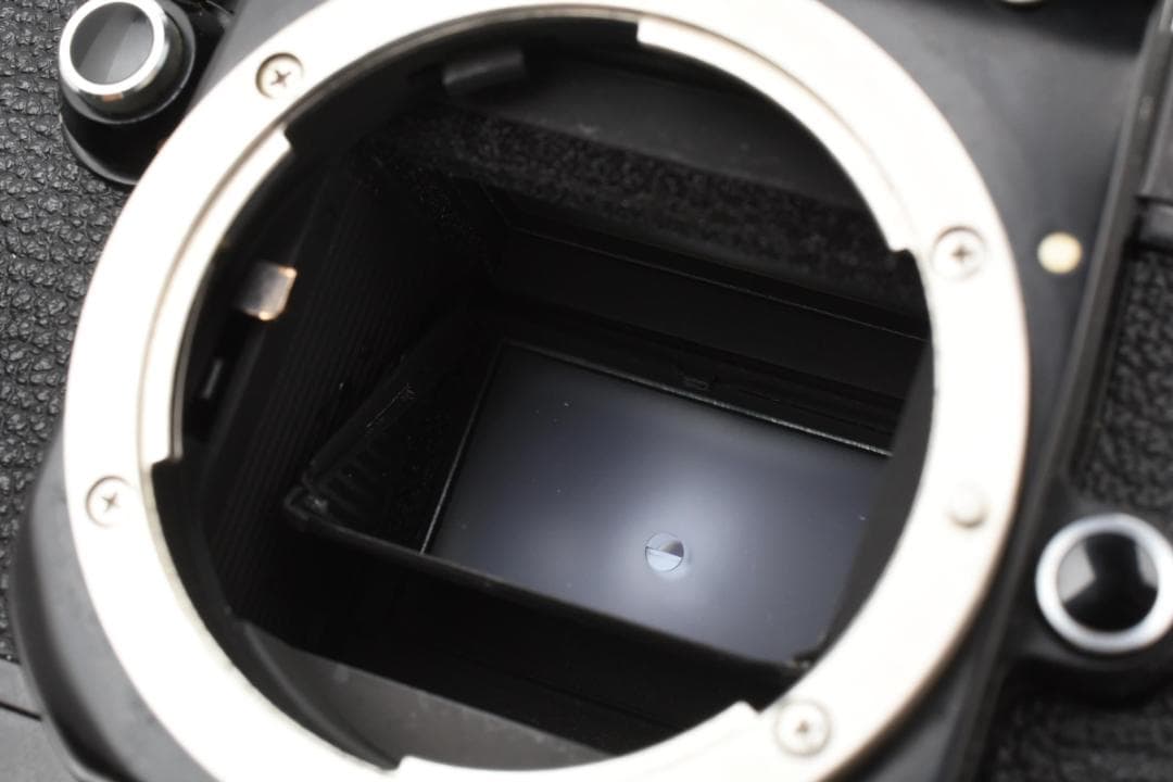 RITAO CHAN公式アカウント05専用 ニコン Nikon F2 DP-1