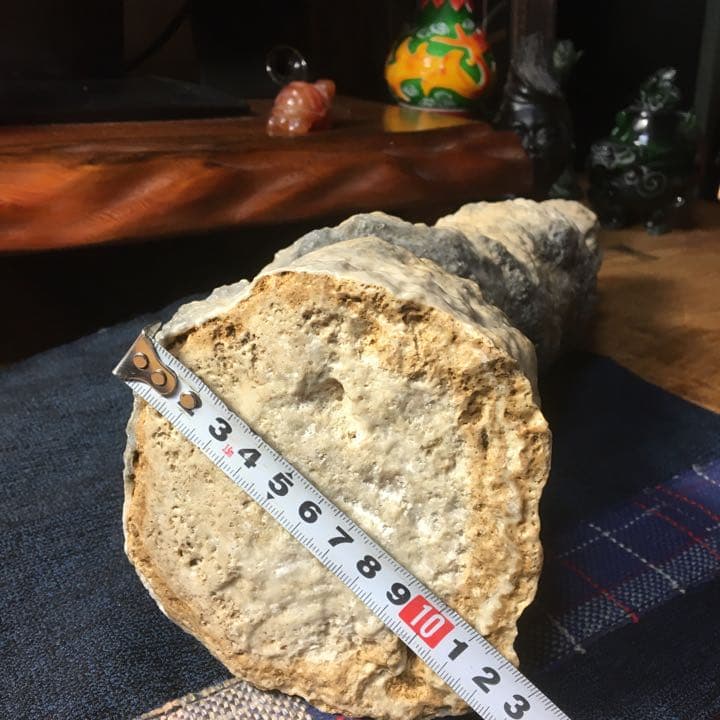 o(^▽^)o遥か昔、6000年(縄文時代)物の石筍(鍾乳石)の芸術品 - メルカリ