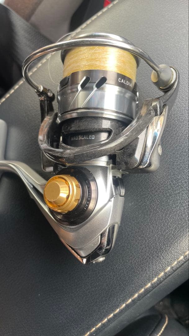 DAIWACALDIA スピニングリール LT2500 箱無し ダイワ DAIWA（ダイワ） スピニングリール 25 CALDIA(カルディア) LT2500