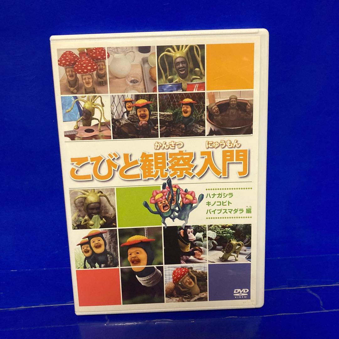こびとづかん DVDこびと観察入門 DVD 2枚セット セル販売品 - メルカリ