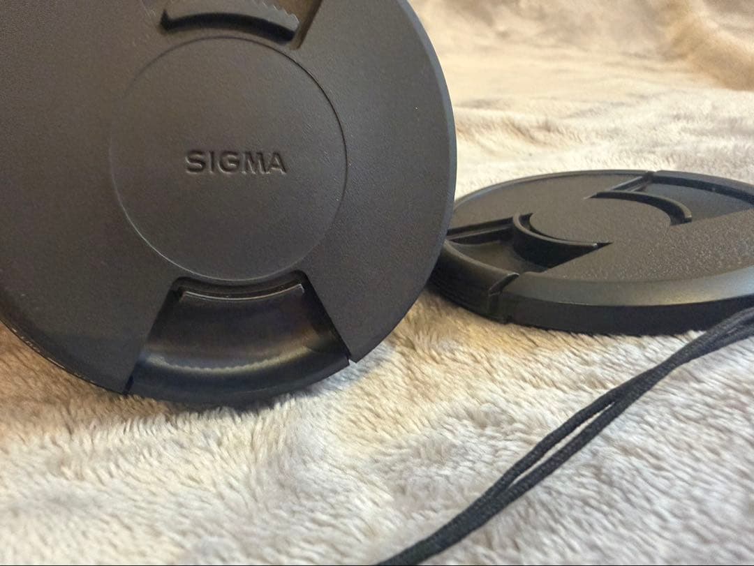 【状態良好】SIGMA 18-300mm F3.5-6.3 　Canonキヤノン