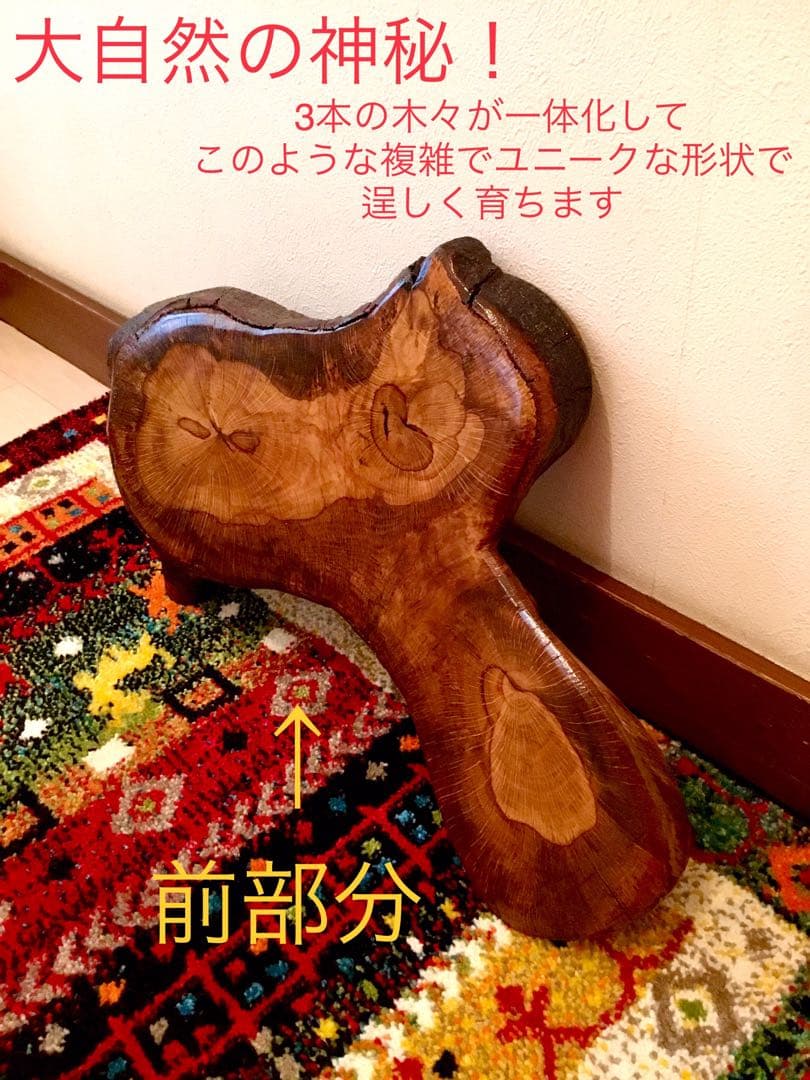 合体樹＊超絶ワイルドな森の切り株テーブル】3本の木々が一体化した