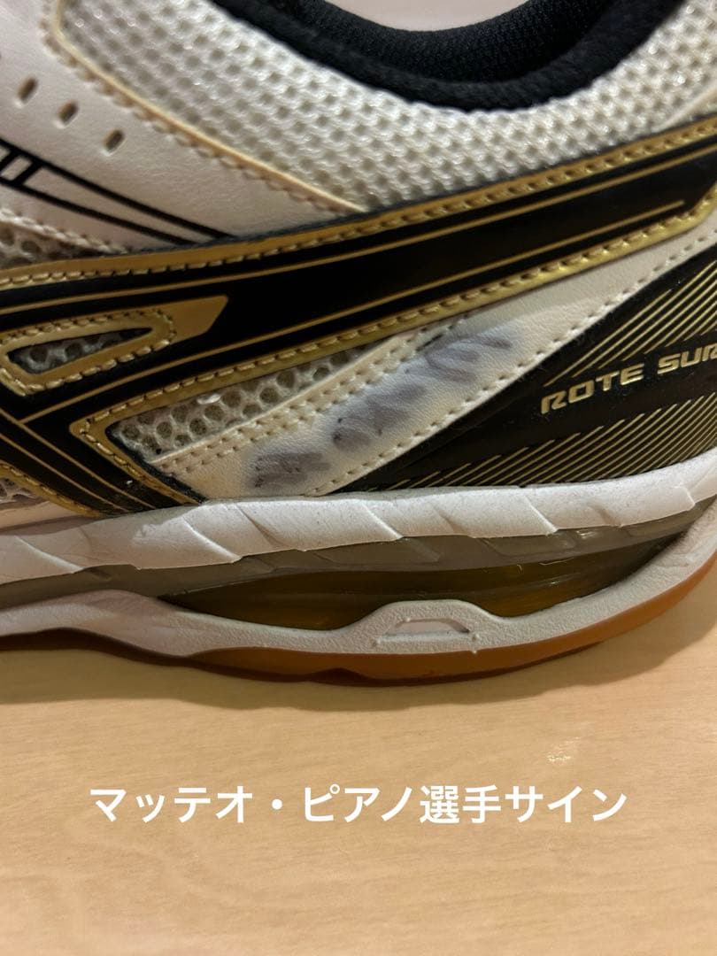 ペルージャ シモーネ・ジャネッリ選手サイン入りローテサーパスχ4