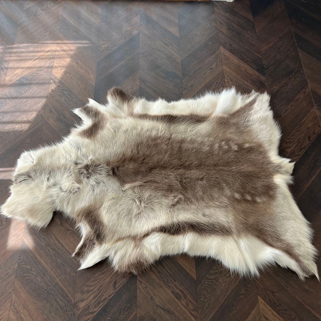 DALUM REINDEER FUR L ダーラム トナカイファー L 展示品 - メルカリ