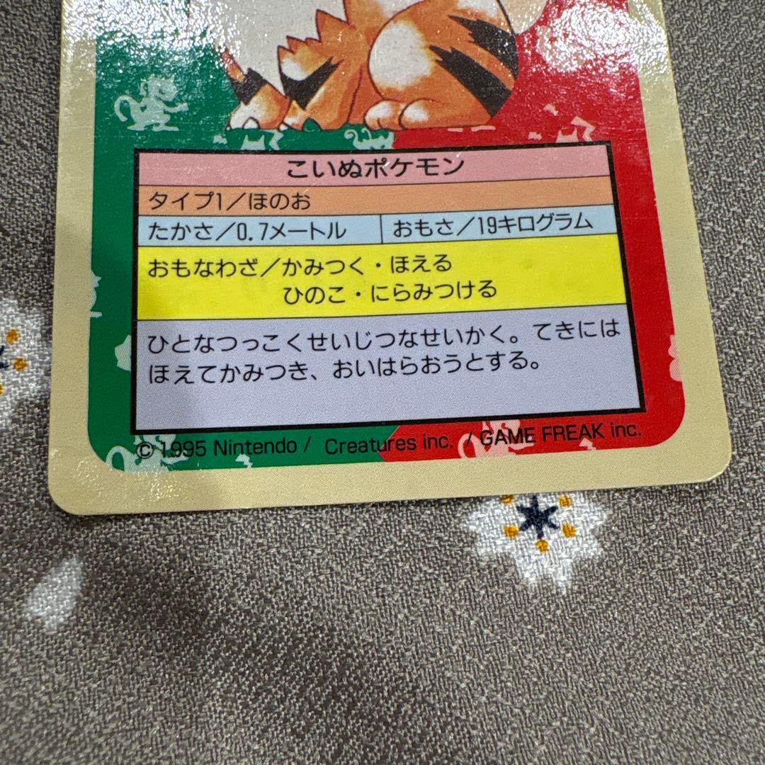 トップサン ポケモンカードガム 初版 青裏 番号なし エラーカード