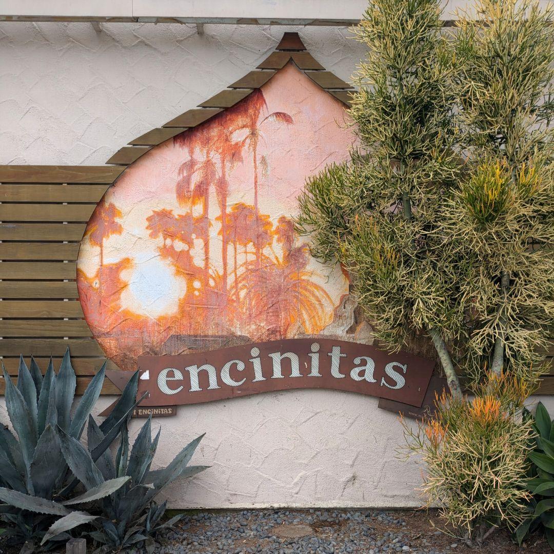 新品 スコッティ キャメロン マーカー パター カバー タイトリスト