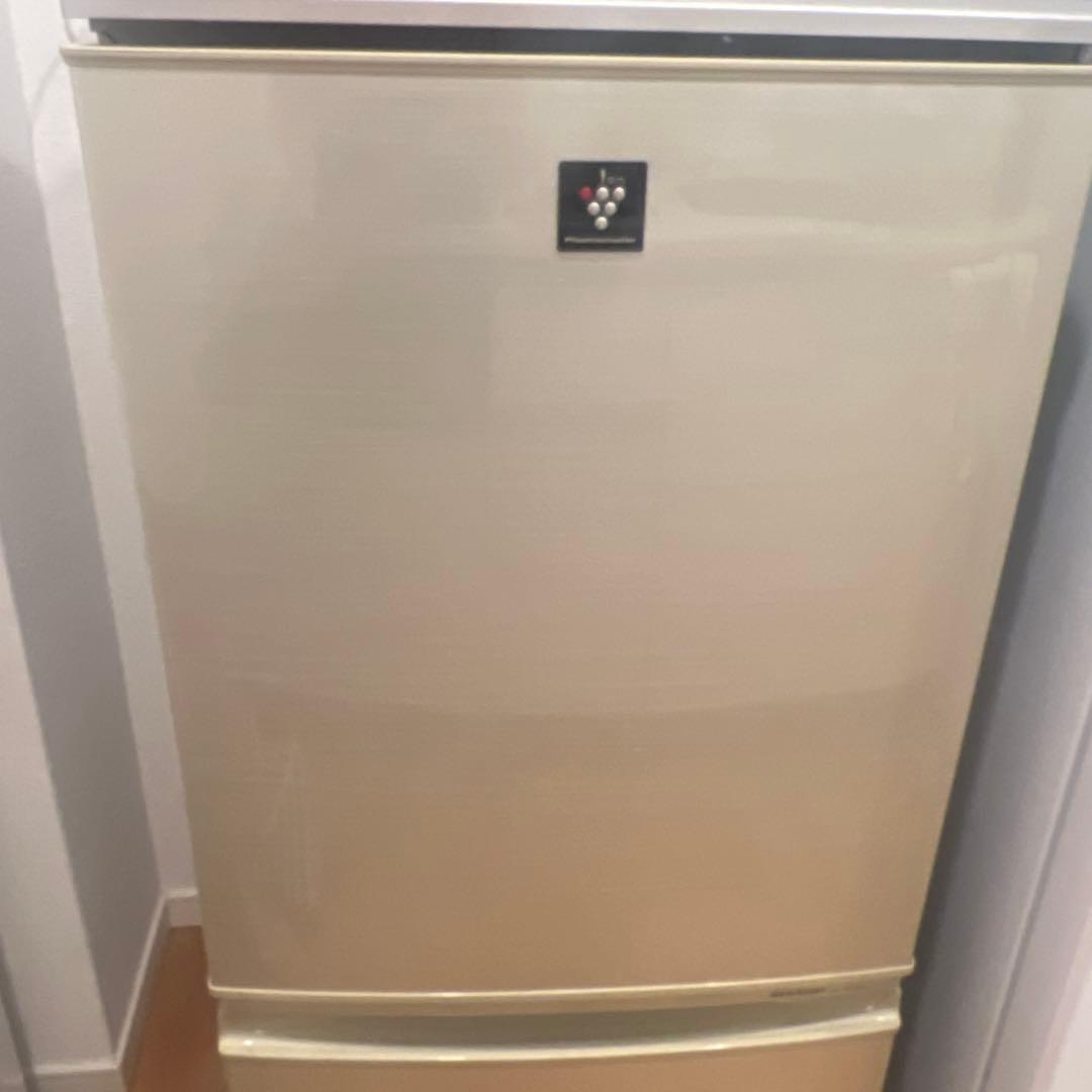 SHARP冷蔵庫 3段棚・2段冷凍庫 SHARP SHARP 3ドア冷蔵庫 374L どっちもドア SJ-PW37P (両開き