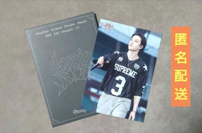 Stray Kids バンチャン ラントレ dominATE - メルカリ