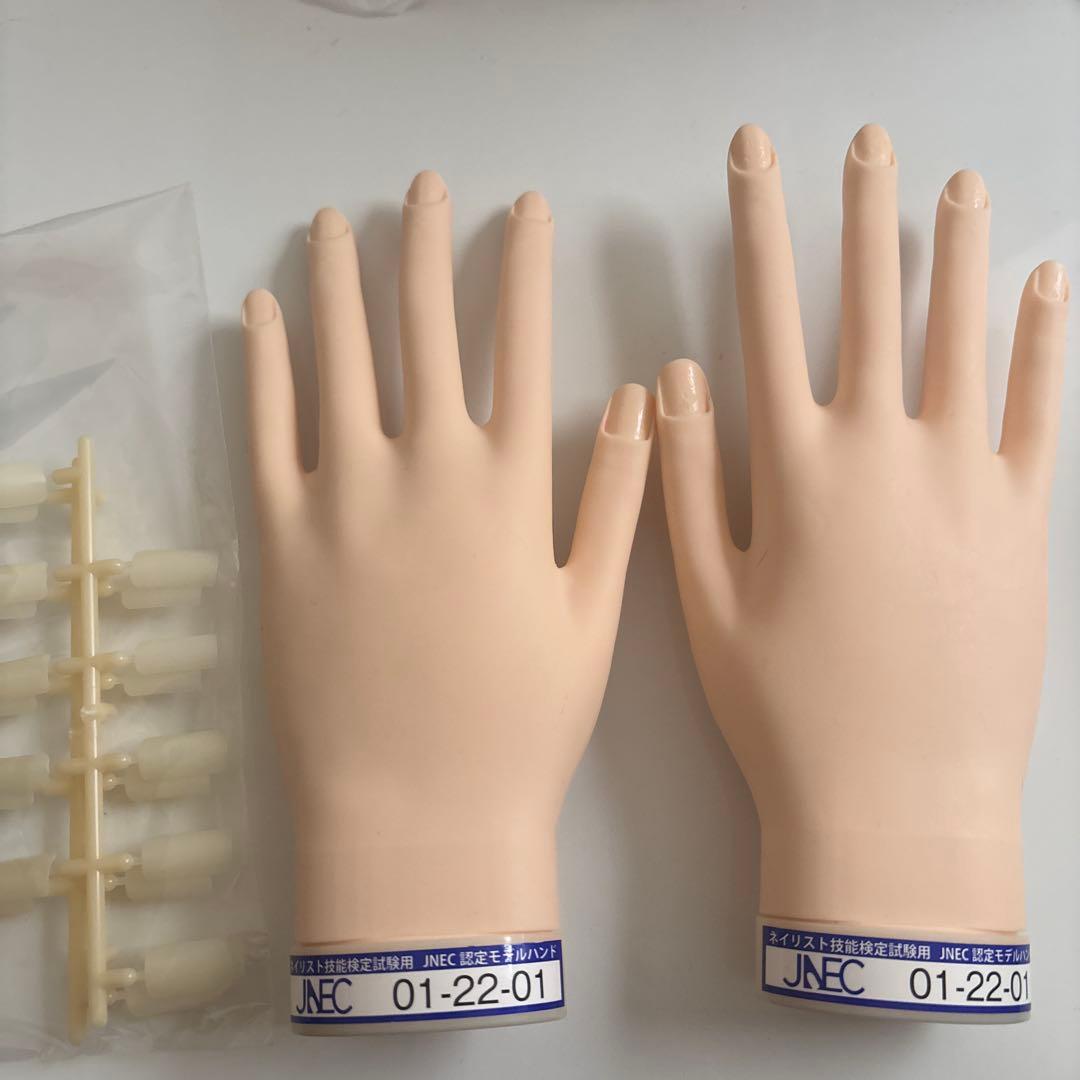 JNEC認定モデルハンド　両手　未開封付属チップ付き STモデルハンド セット（JNEC 第1期認定モデルハンド）の卸・通販